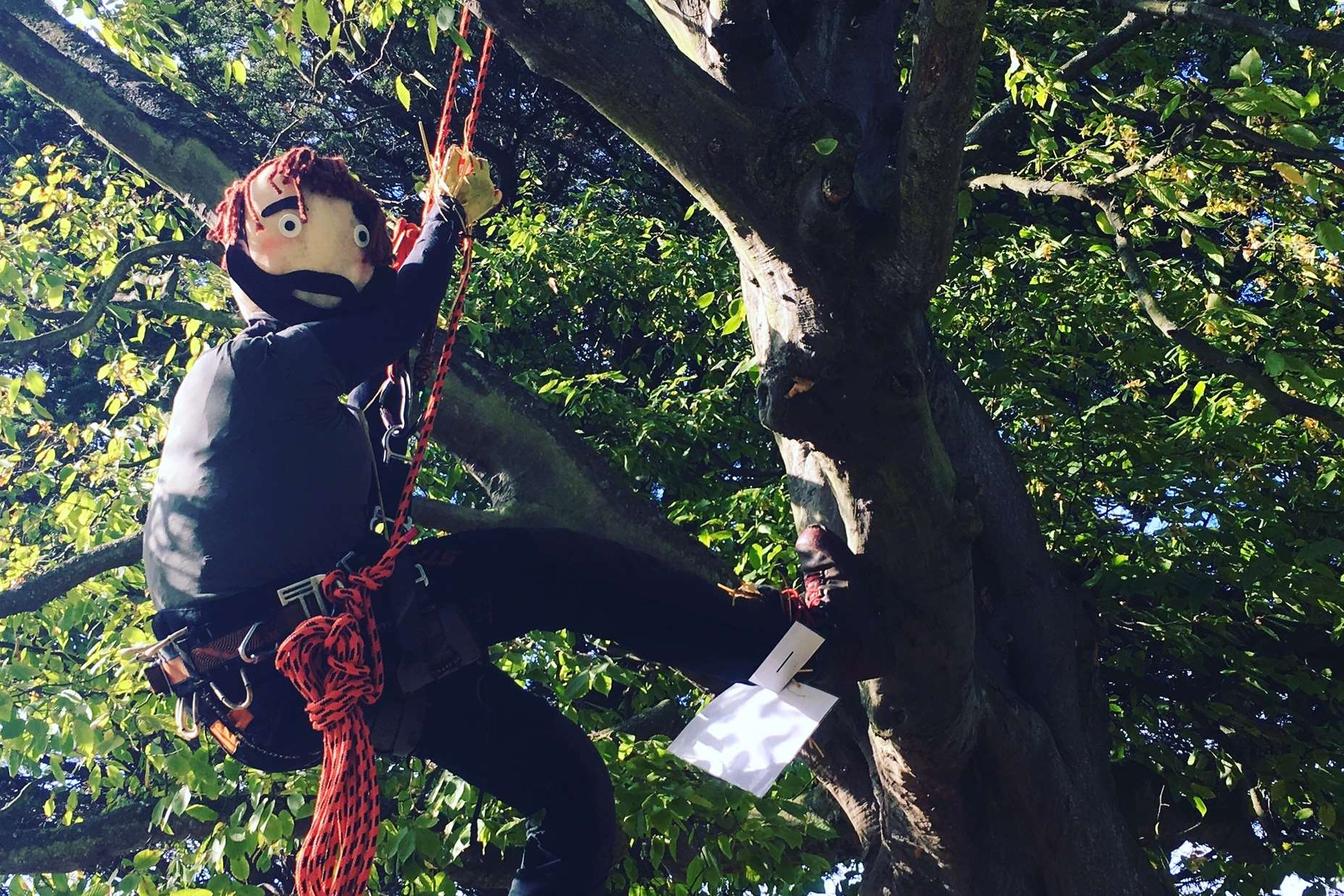 Tree-mendous fun at the Scarecrow Festival