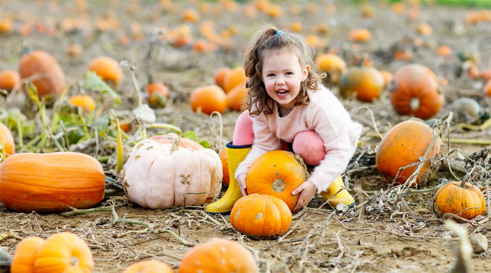 Enjoy family activities for under a fiver this October half-term. Picture: iStock