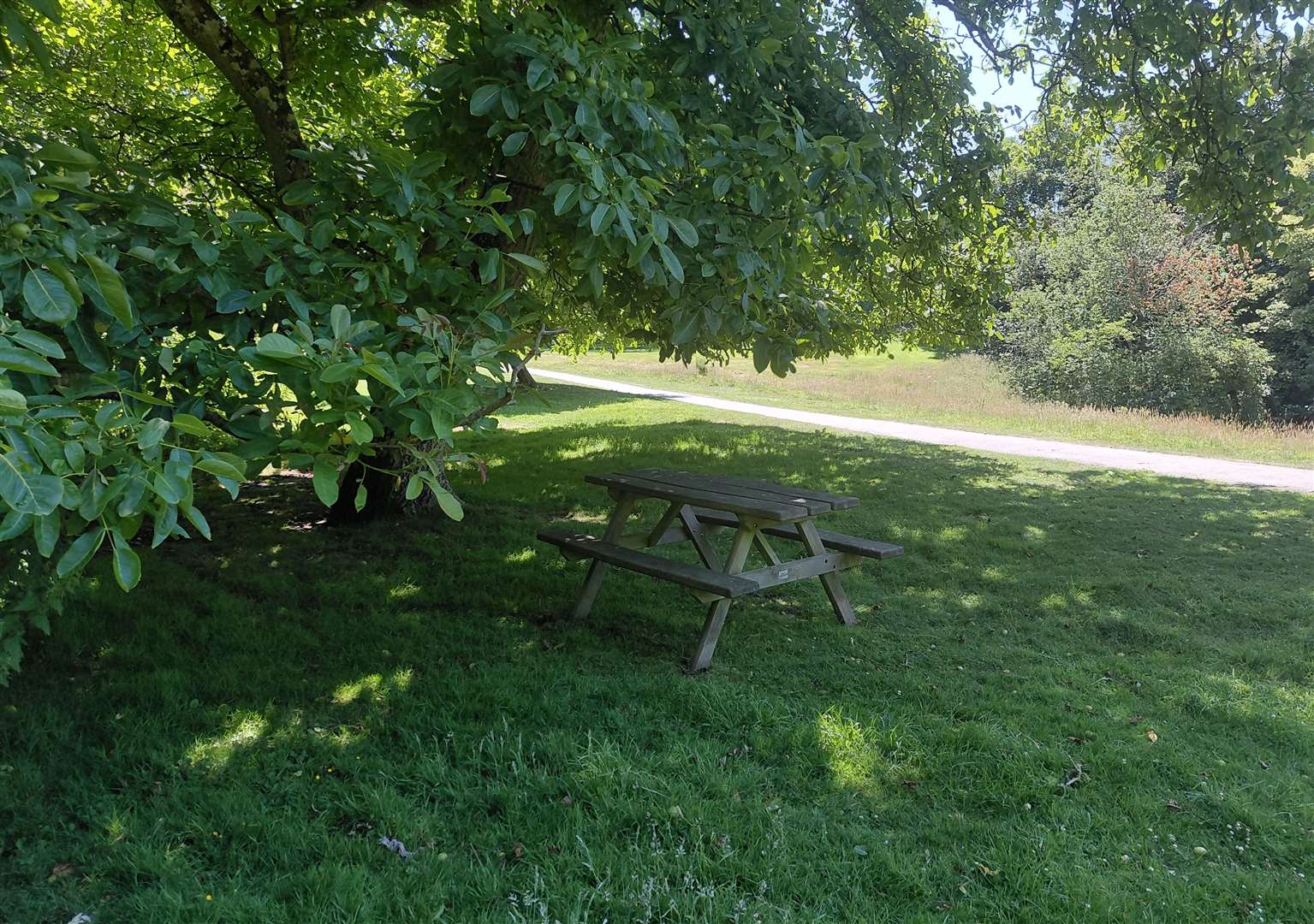 One of the shady spots for a picnic
