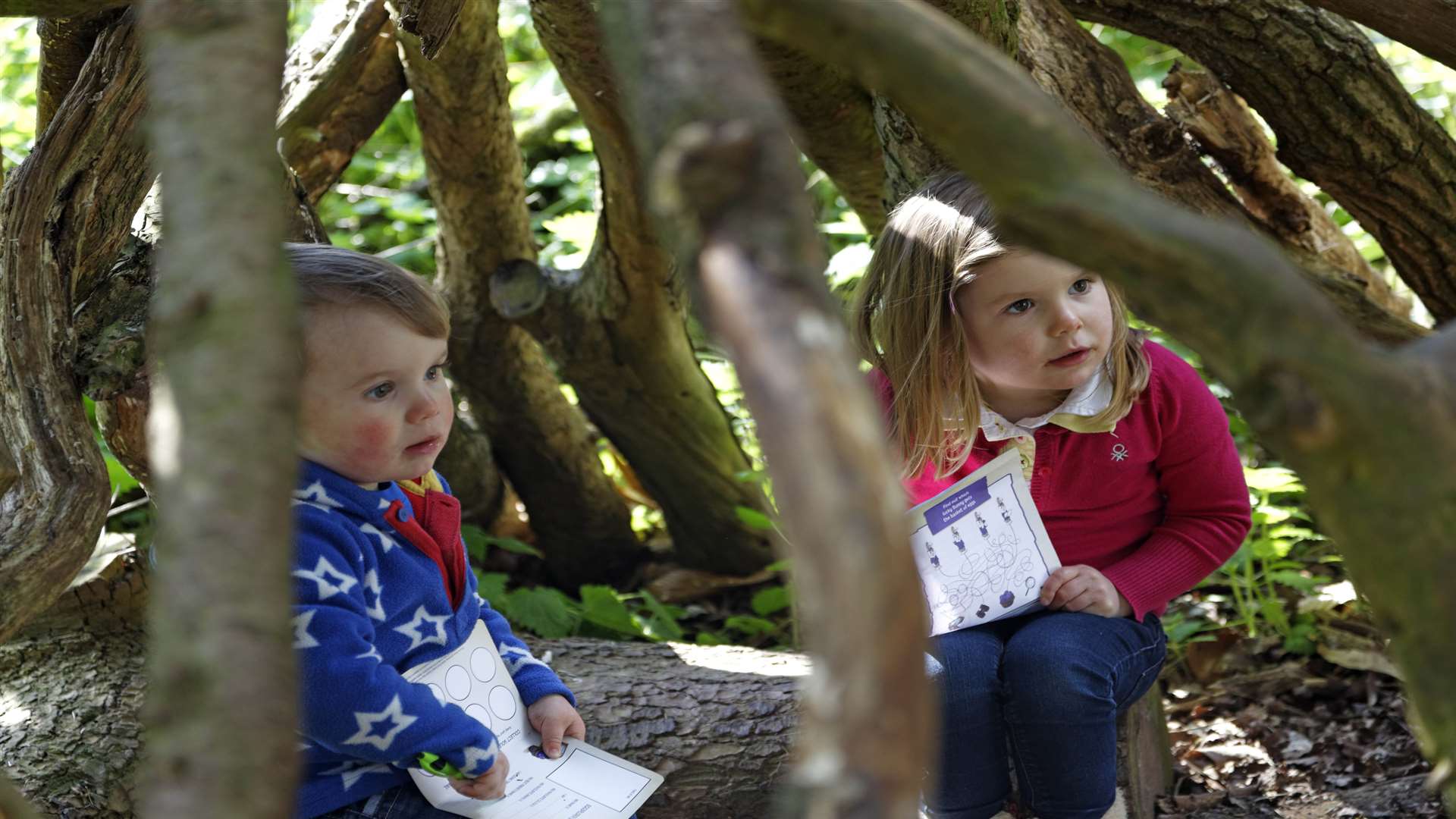 Tick 'building a den' from the National Trust's '50 things' list this summer. Picture courtesy of National Trust