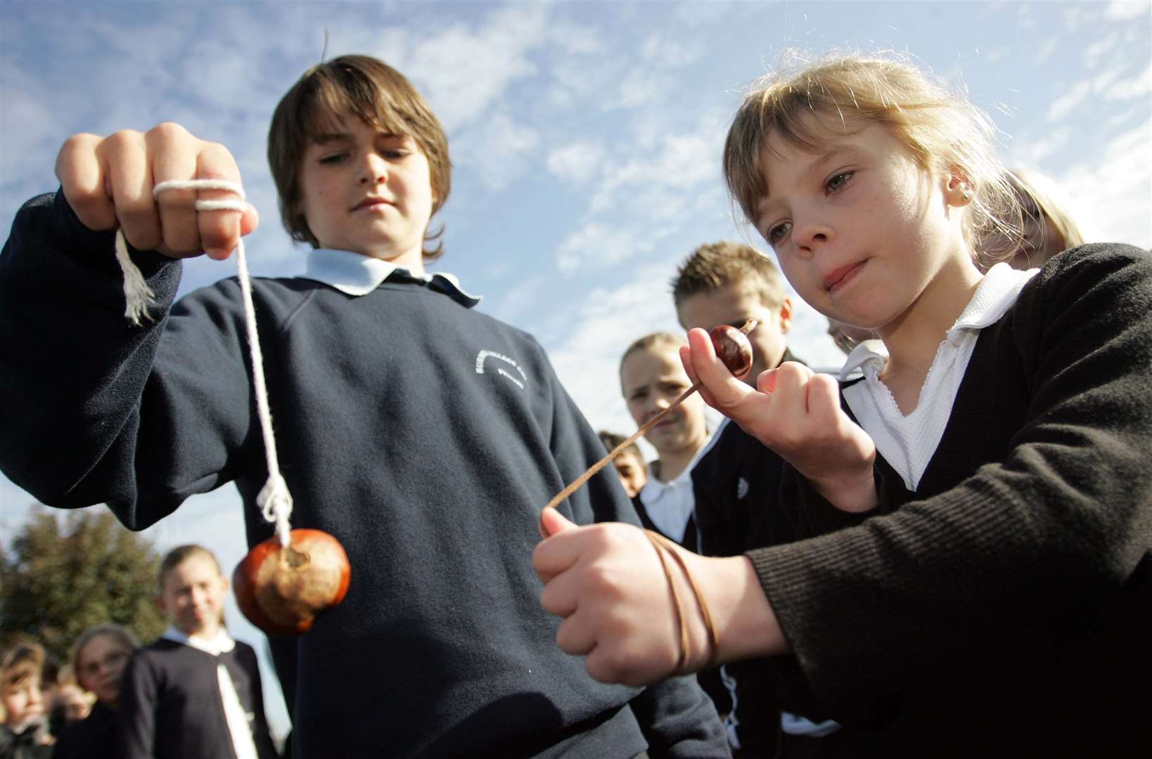 Do you have fond memories of school conker championships?
