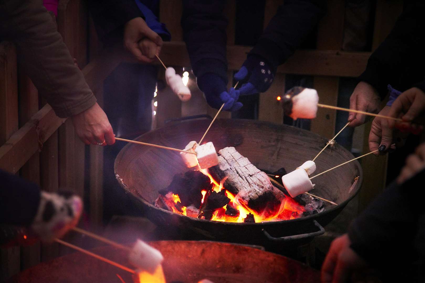 Fire pits will allow visitors to toast marshmallows
