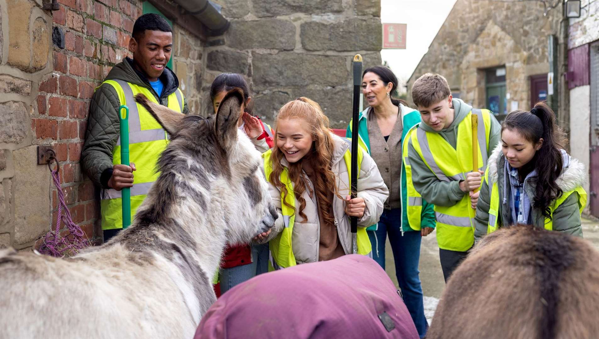 Learn what life on the farm is really like with a visit on Open Farm Sunday. Picture: iStock