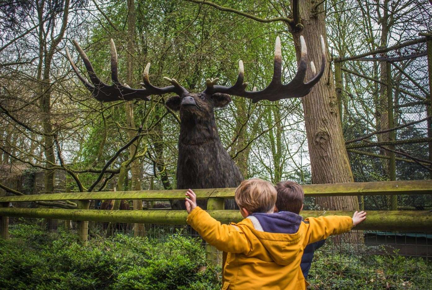 Animals of the Ice Age is one of the attractions at Howletts