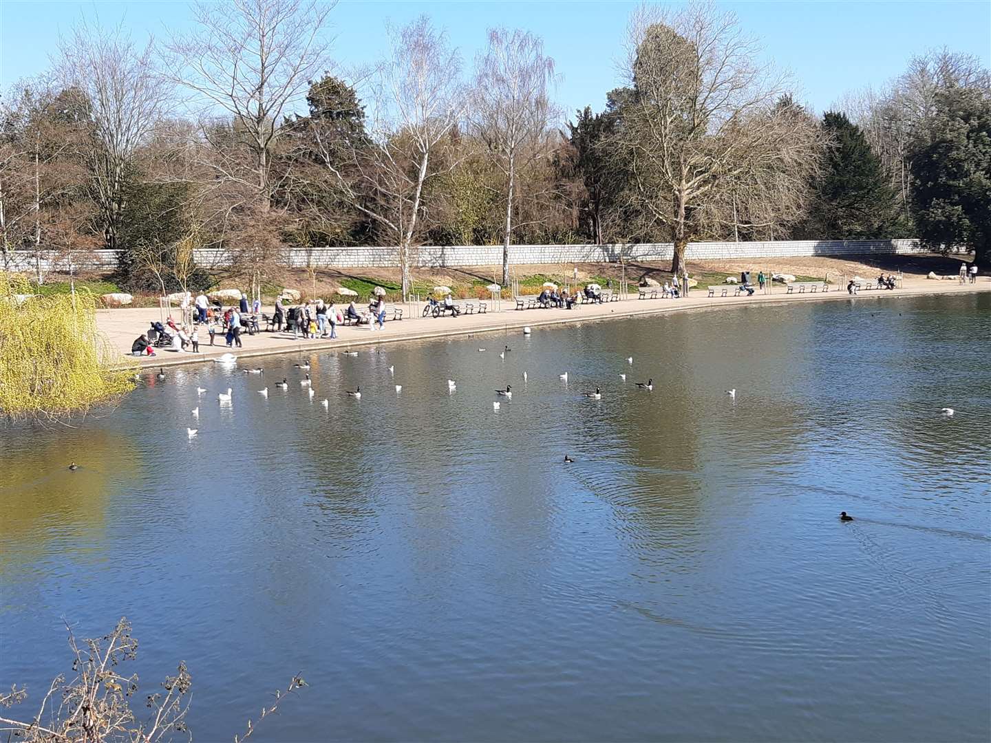 Mote Park in Maidstone has won a Green Flag Award