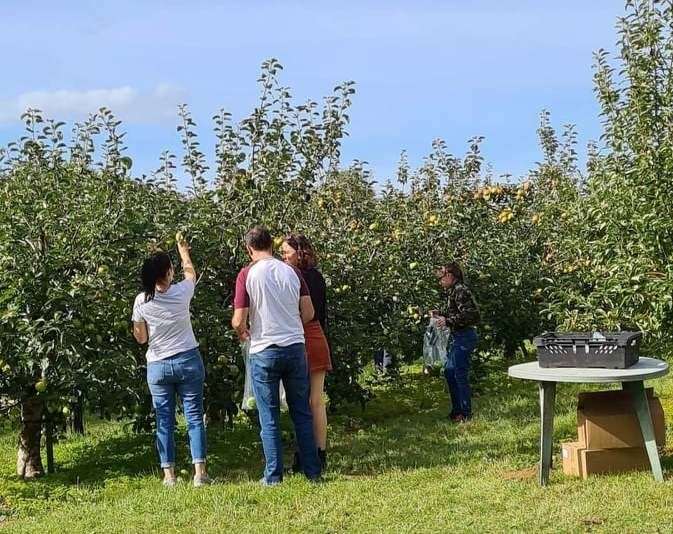 Picking your own fruit is a great step towards being more sustainable. Picture: Dawn Brack