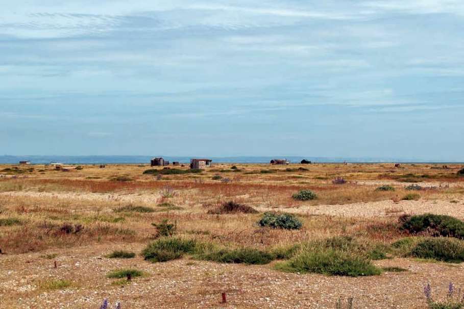 Dungeness Estate is the UK's only desert. Picture: Strutt and Parker.