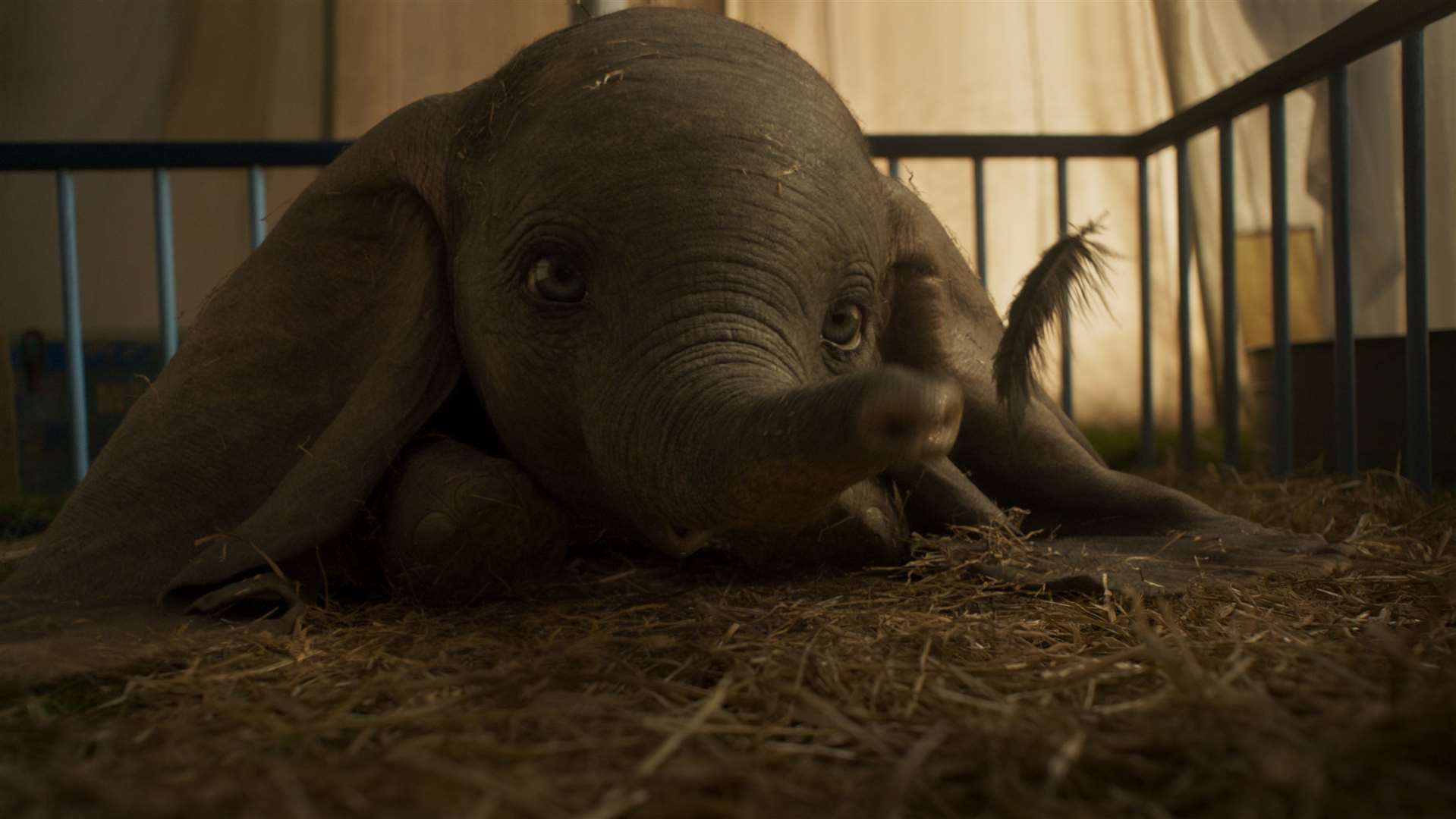 Tickets for Dumbo are now on sale for Kent screenings. Picture: ©2018 Disney Enterprises, Inc. All Rights Reserved.