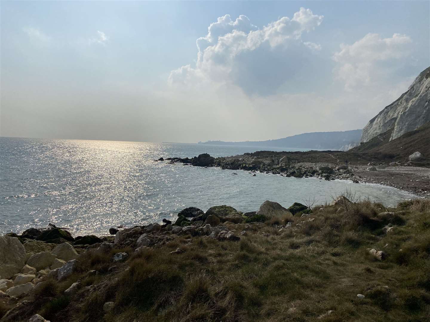Samphire Hoe has views of the English Channel and White Cliffs, as well as an abundance of wildlife. Picture: KM reporter