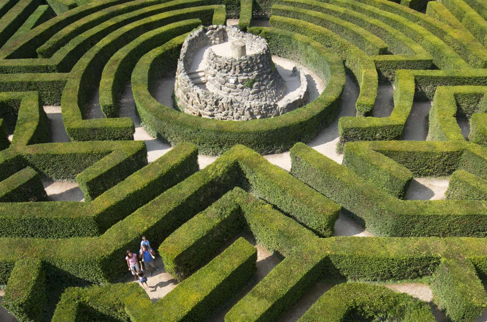 The maze at Leeds Castle