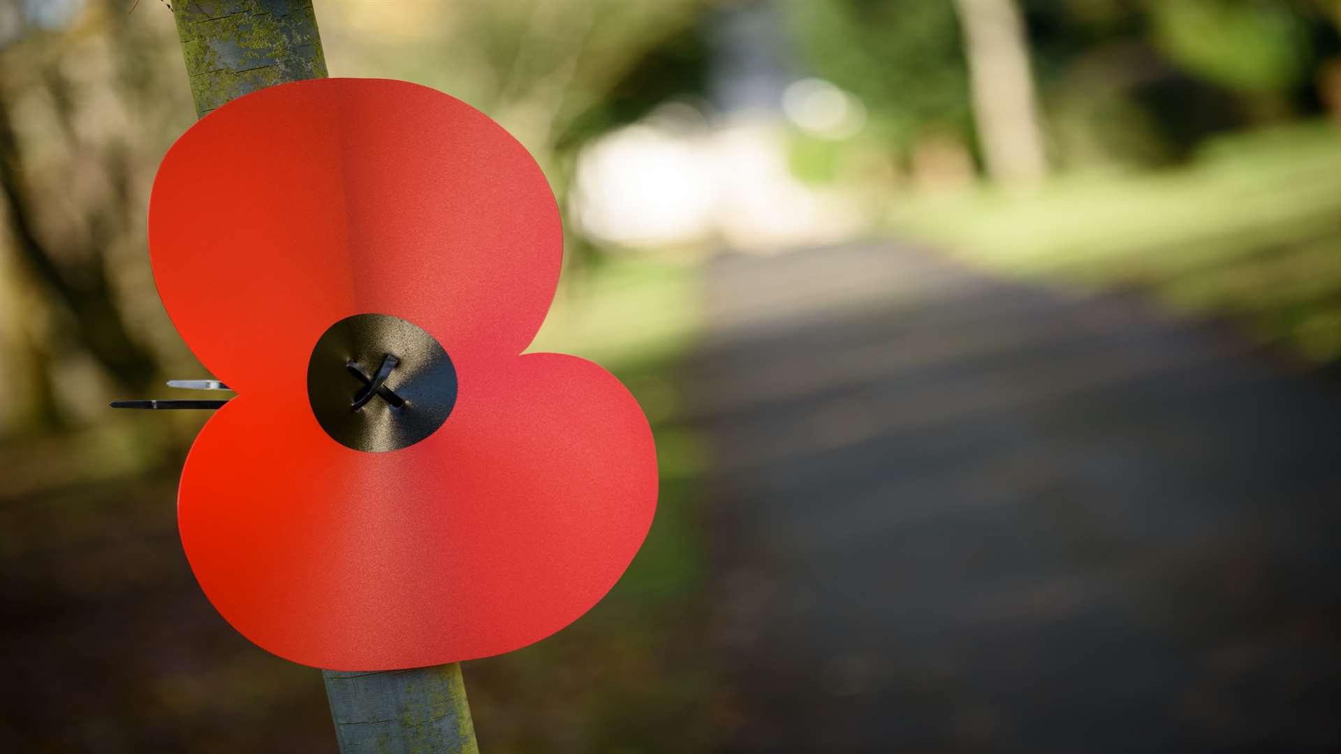 Families can find out more about the First World War on a self-guided trail