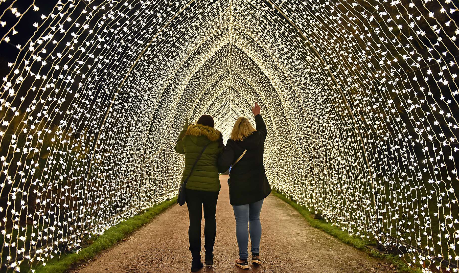 Tickets on sale for Christmas at Bedgebury light trail from November 2025