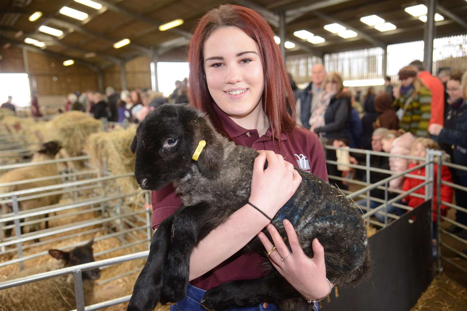 Ally Sweeney at last year's Lambing Weekend at Hadlow
