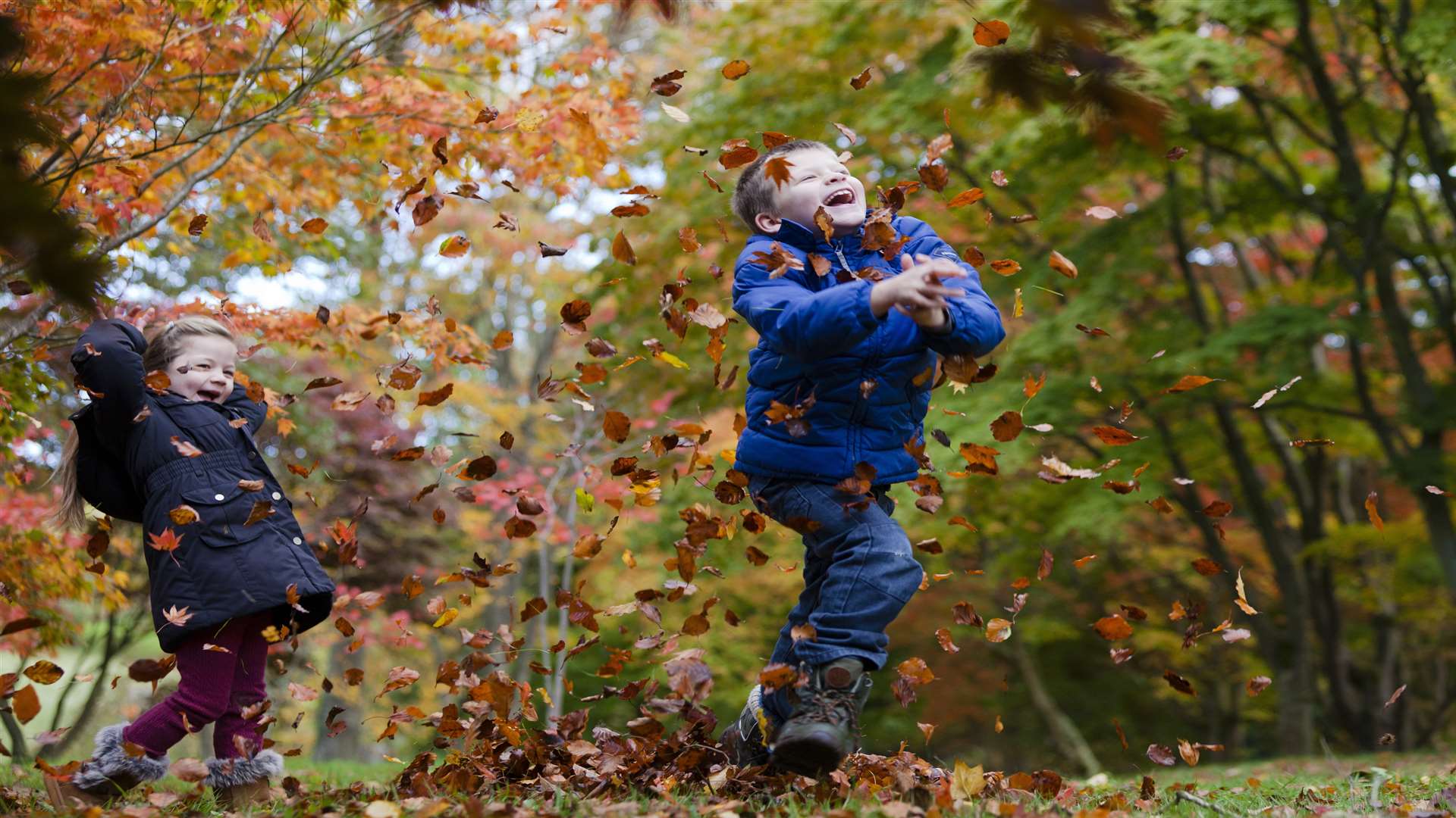 Children playing in the autumn leaves at a National Trust property. Picture: National Trust/ Megan Taylor