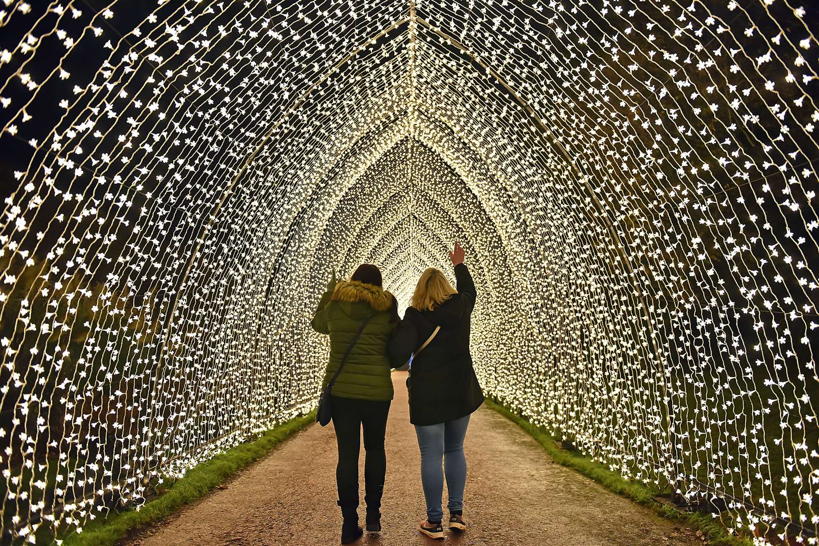 Lights at Bedgebury Pinetum