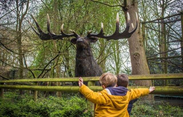 Bag a bargain as kids go free to Howletts Wild Animal Park during the school holidays. Picture: Aspinall Foundation
