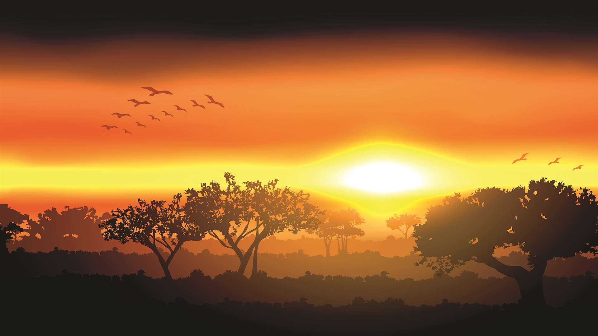 A Pinewood sunset