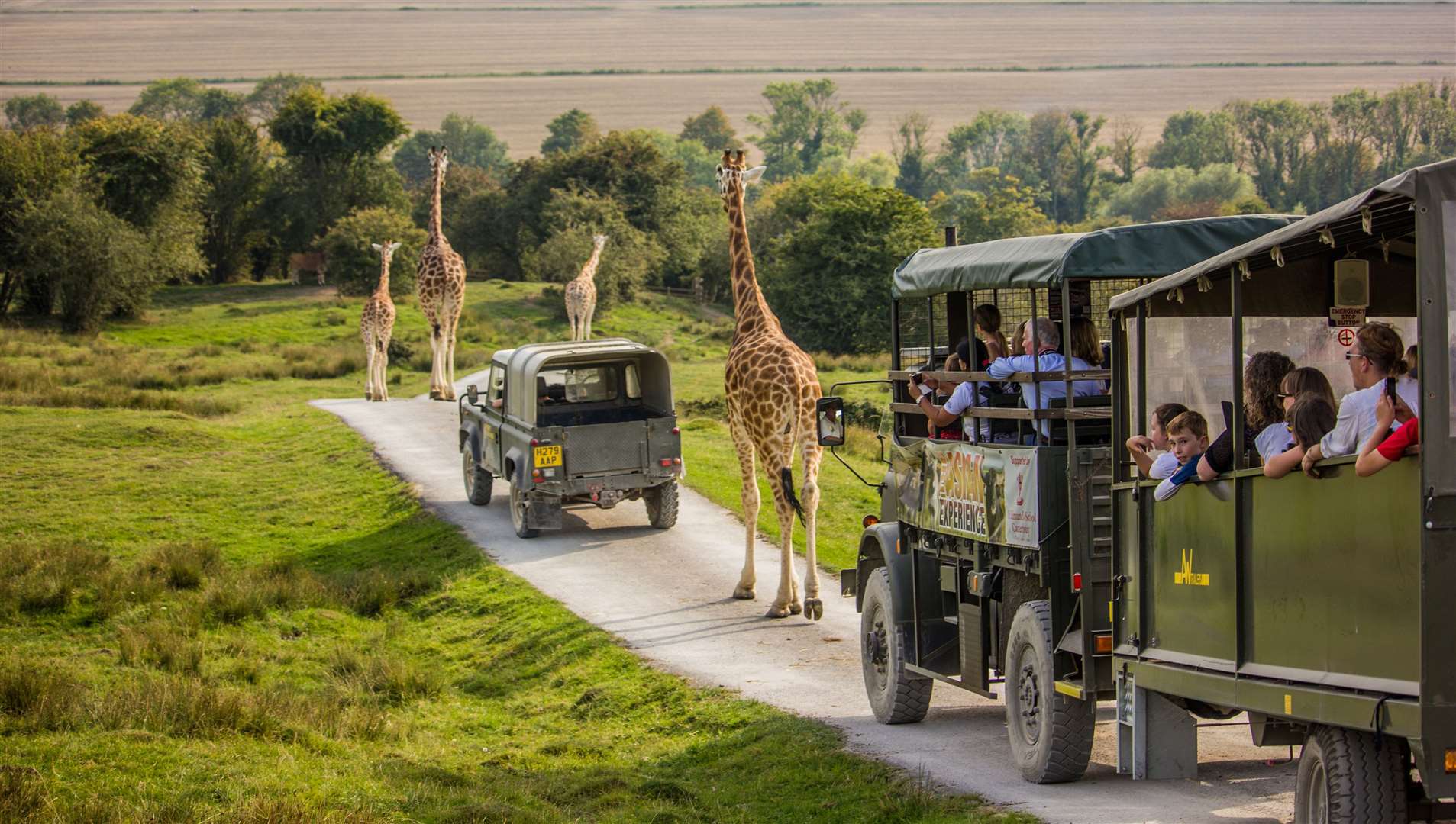The new Christmas light trail at Port Lympne is on sale now. Picture: Portlympne.com