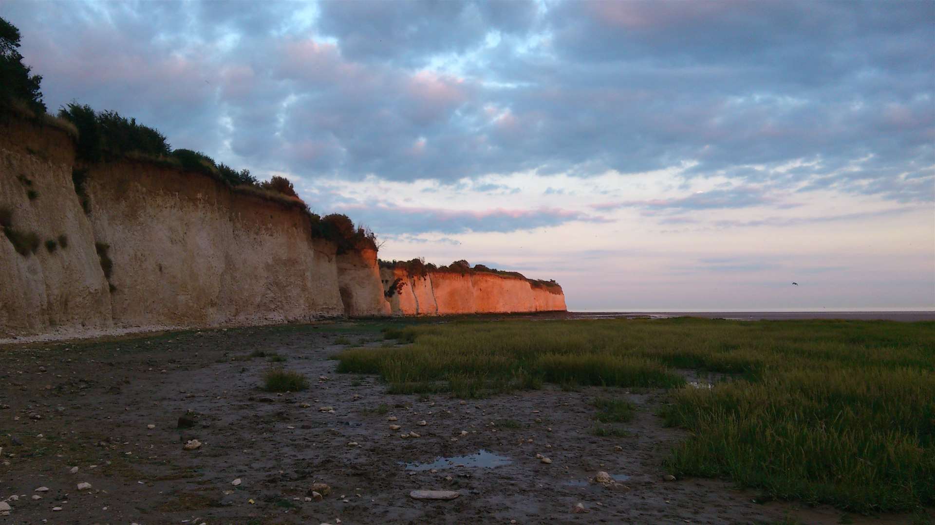 The cliffs at Pegwell Bay
