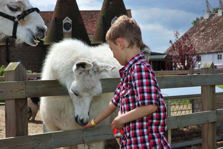 Hop Farm Family Park in Paddock Wood