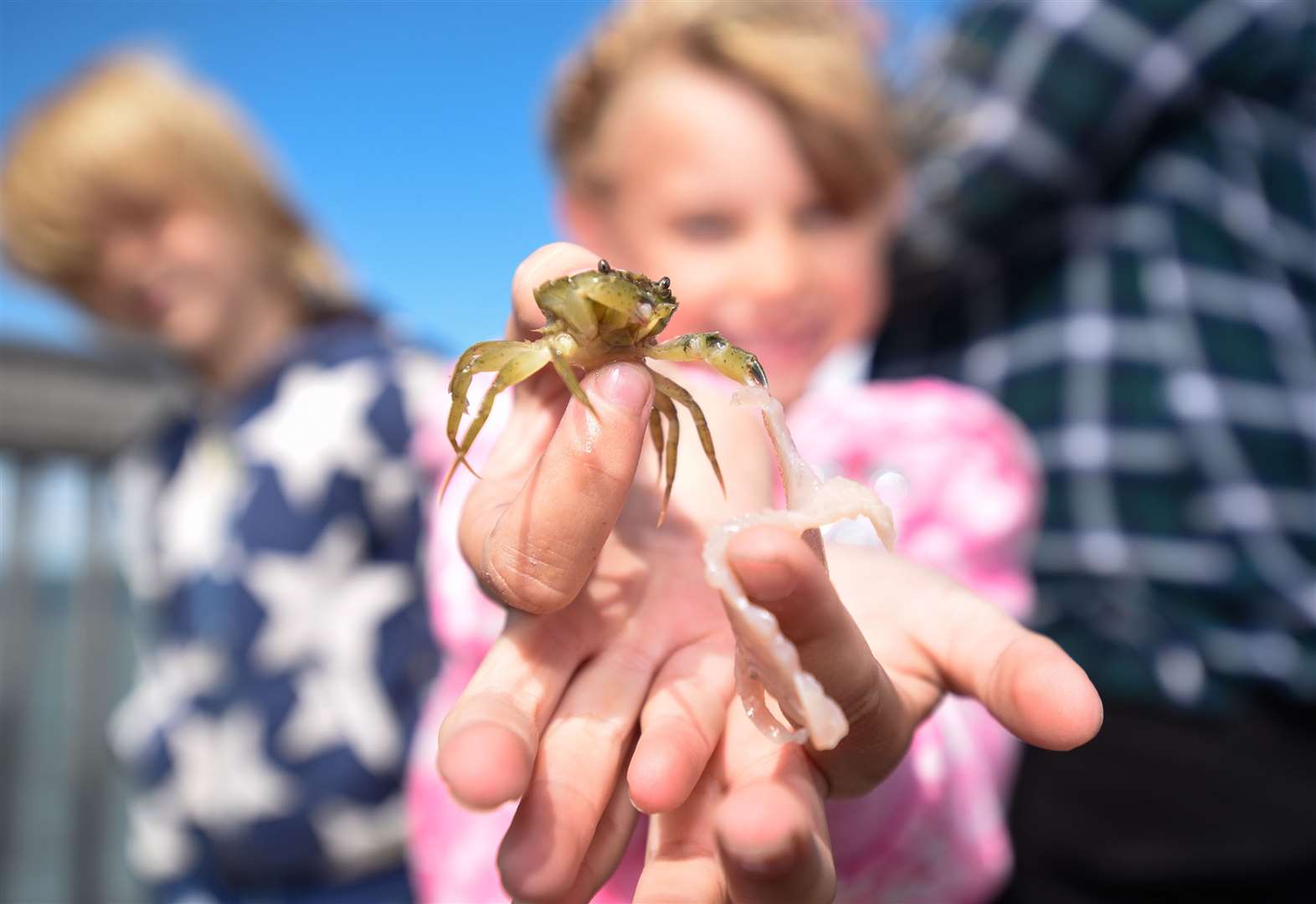 how-to-take-the-kids-crabbing-in-kent-this-summer