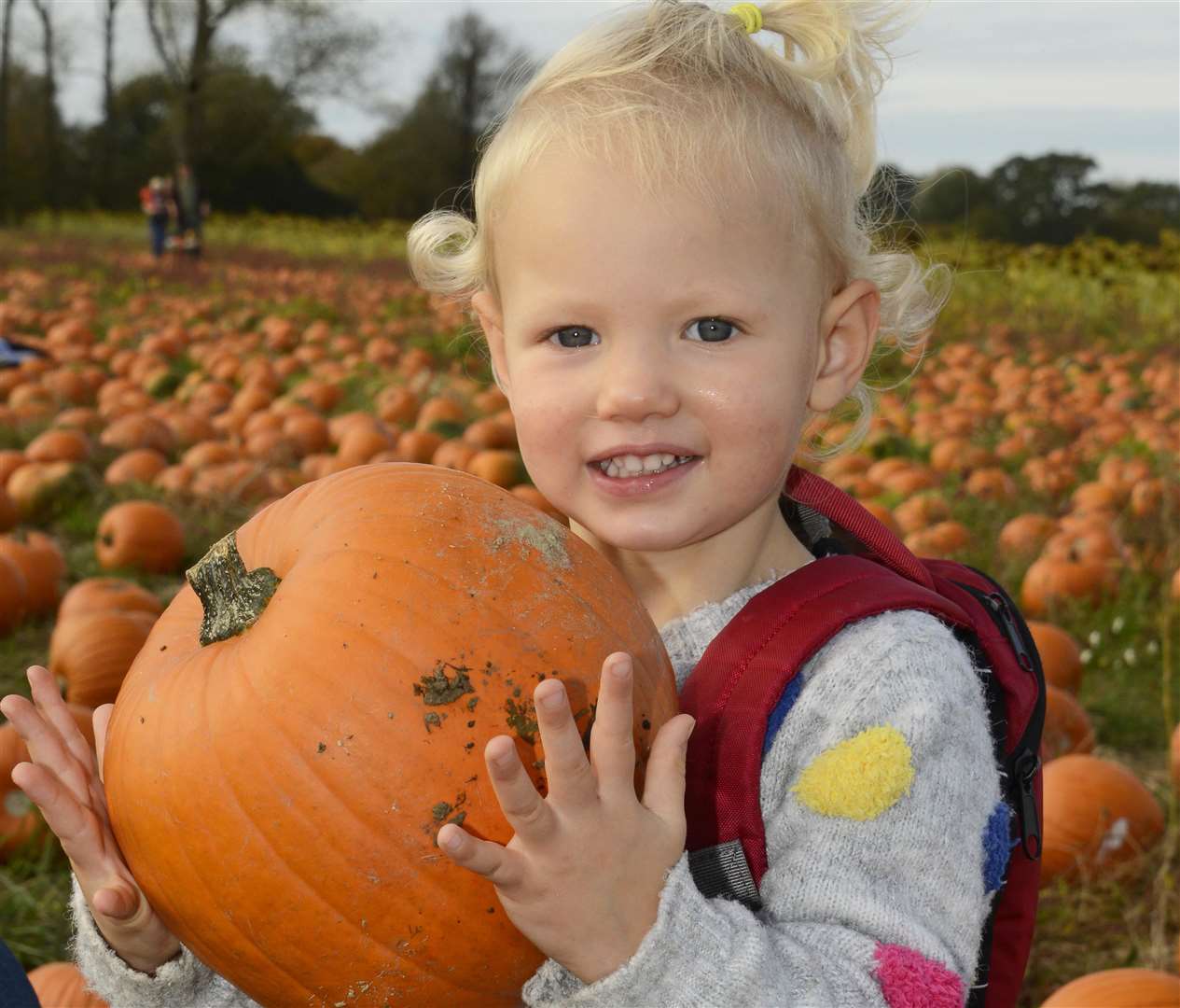 Mollie Hughes finds the pumpkin she wants in Ashford