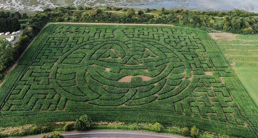 The maze pathways have been made wider to allow for social distancing in Rainham