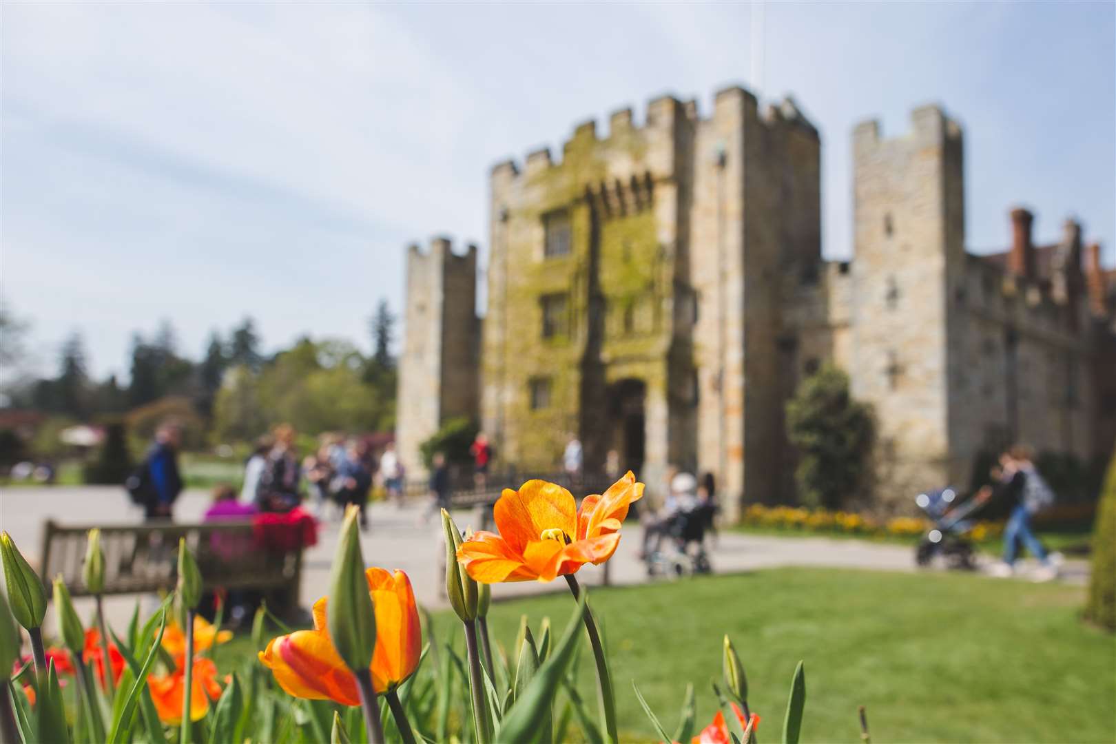 Families can picnic or use the takeaway food kiosks during their visit