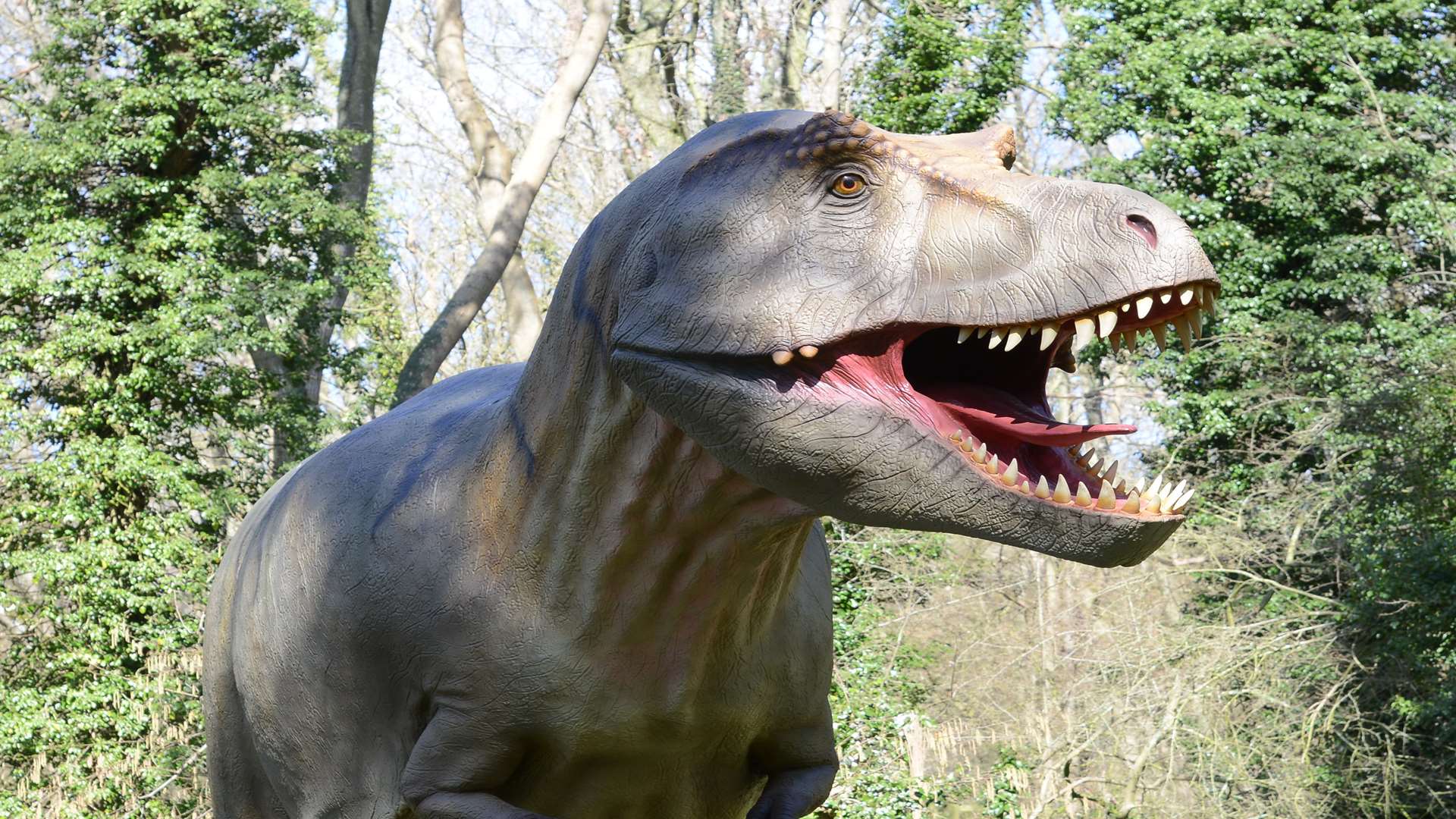 Dinosaurs at Port Lympne Reserve