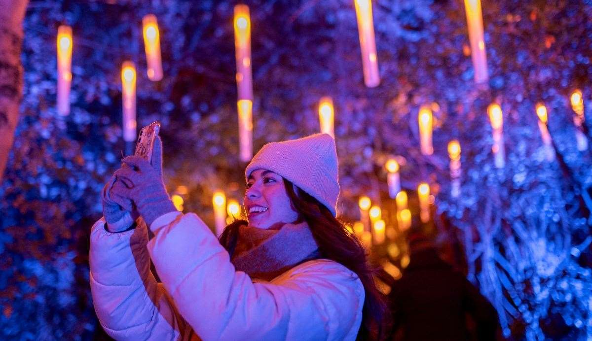 This year’s Christmas at Bedgebury light trail will include several spectacular new installations. Picture: Raymond Gubbay Ltd