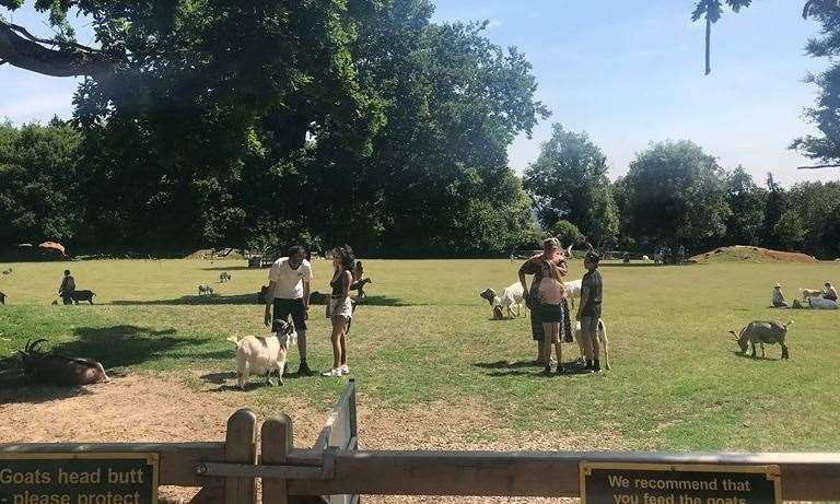 Families can walk around the fields at a social distance