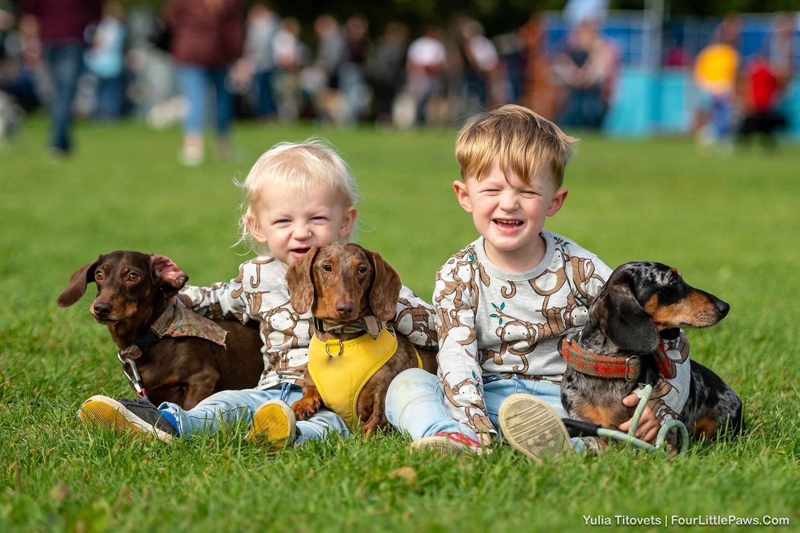 Paws in the Park is taking place this weekend but tickets must be bought in advance