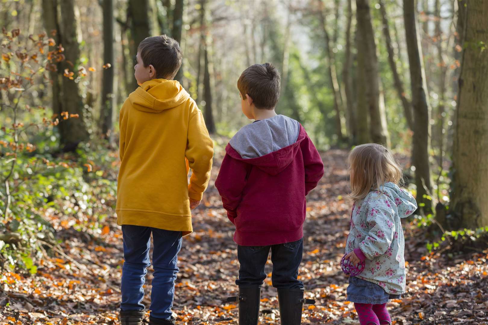 If you're looking for a change of scene a number of country parks have no reopened their car parks