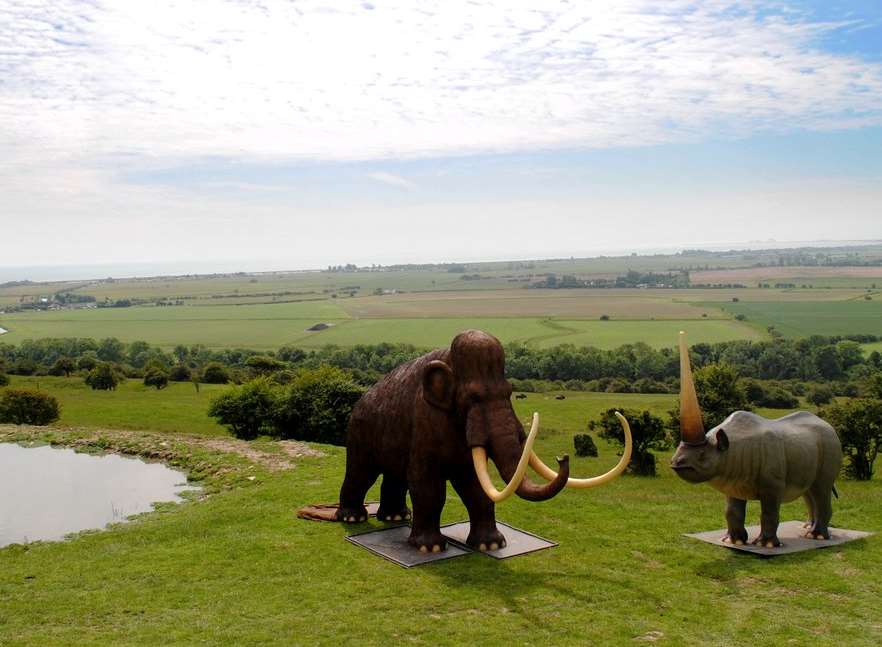 Port Lympne's new arrivals