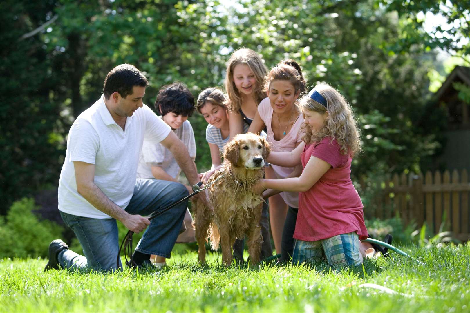 High dog ownership or exposure to dogs has been picked up in an analysis of those children ill. Picture: Stock picture.