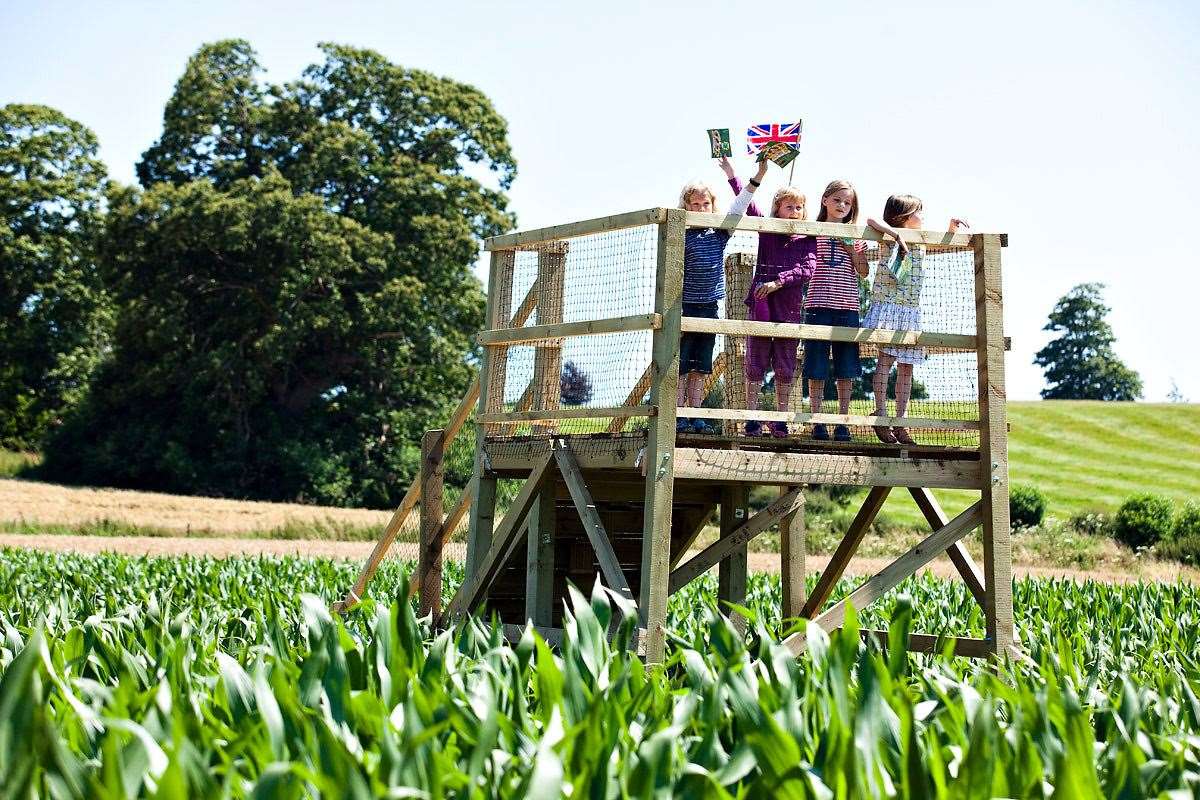 There are different challenges within the maze at Penshurst Place