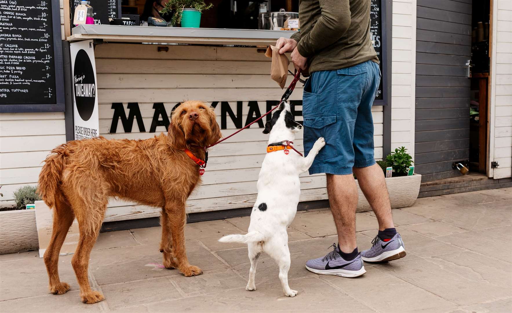 Macknade’s first charity dog day, in aid of Faversham-based animal charity Happy Endings Rescue. Picture: Macknade