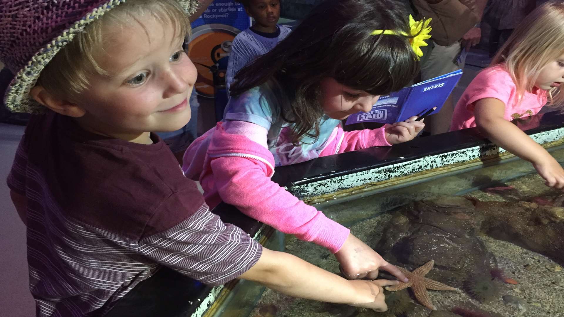Stroking a starfish was one of the highlights at SEA LIFE Brighton