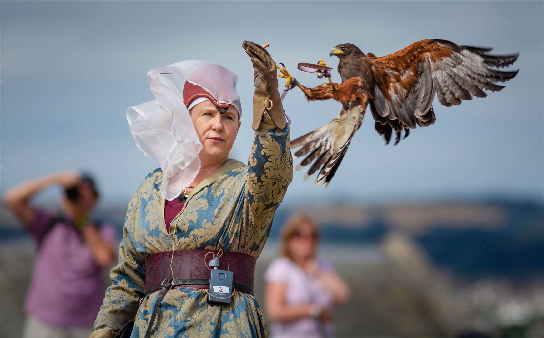 Birds of prey will take flight at Dover Castle this weekend