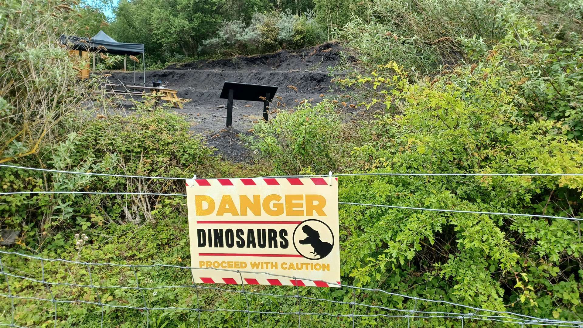 The Dino Expedition at Betteshanger Country Park