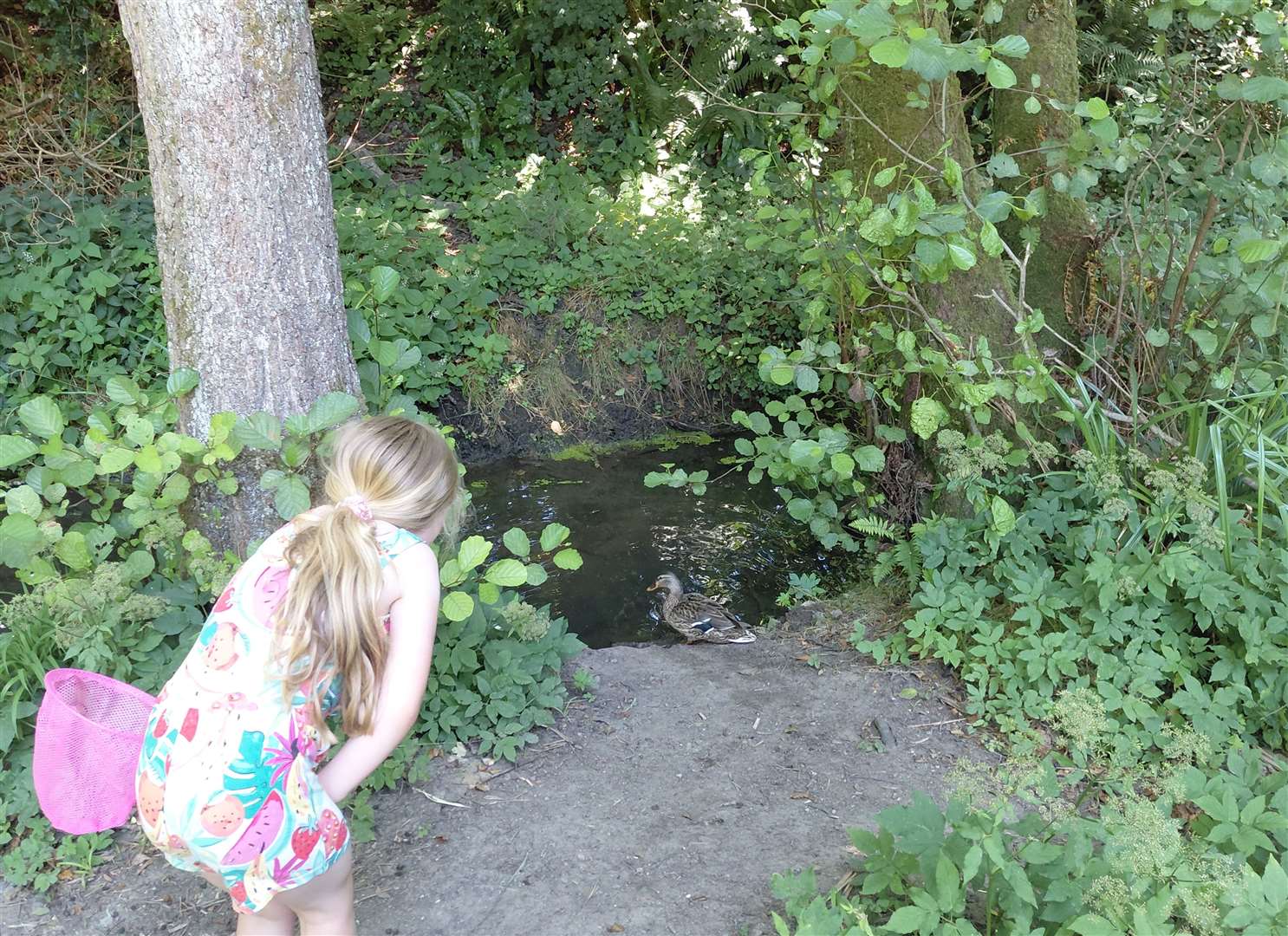 Millie stopped to say hello to a duck