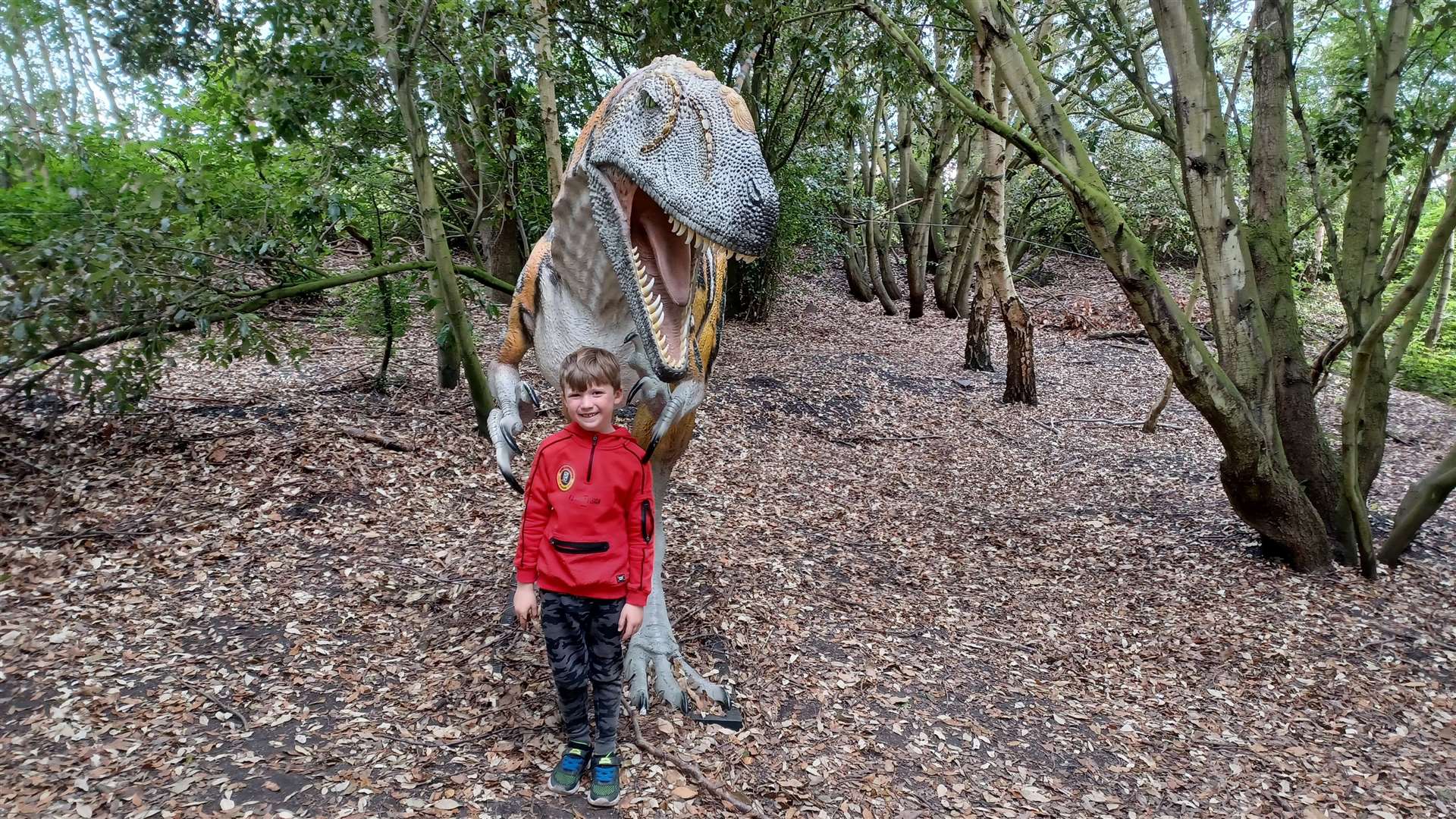 We went looking for the escaped dinosaur at Betteshanger Country Park