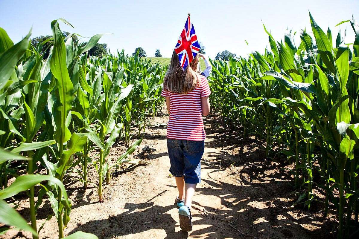 This year's maze has an explorers and discovery theme