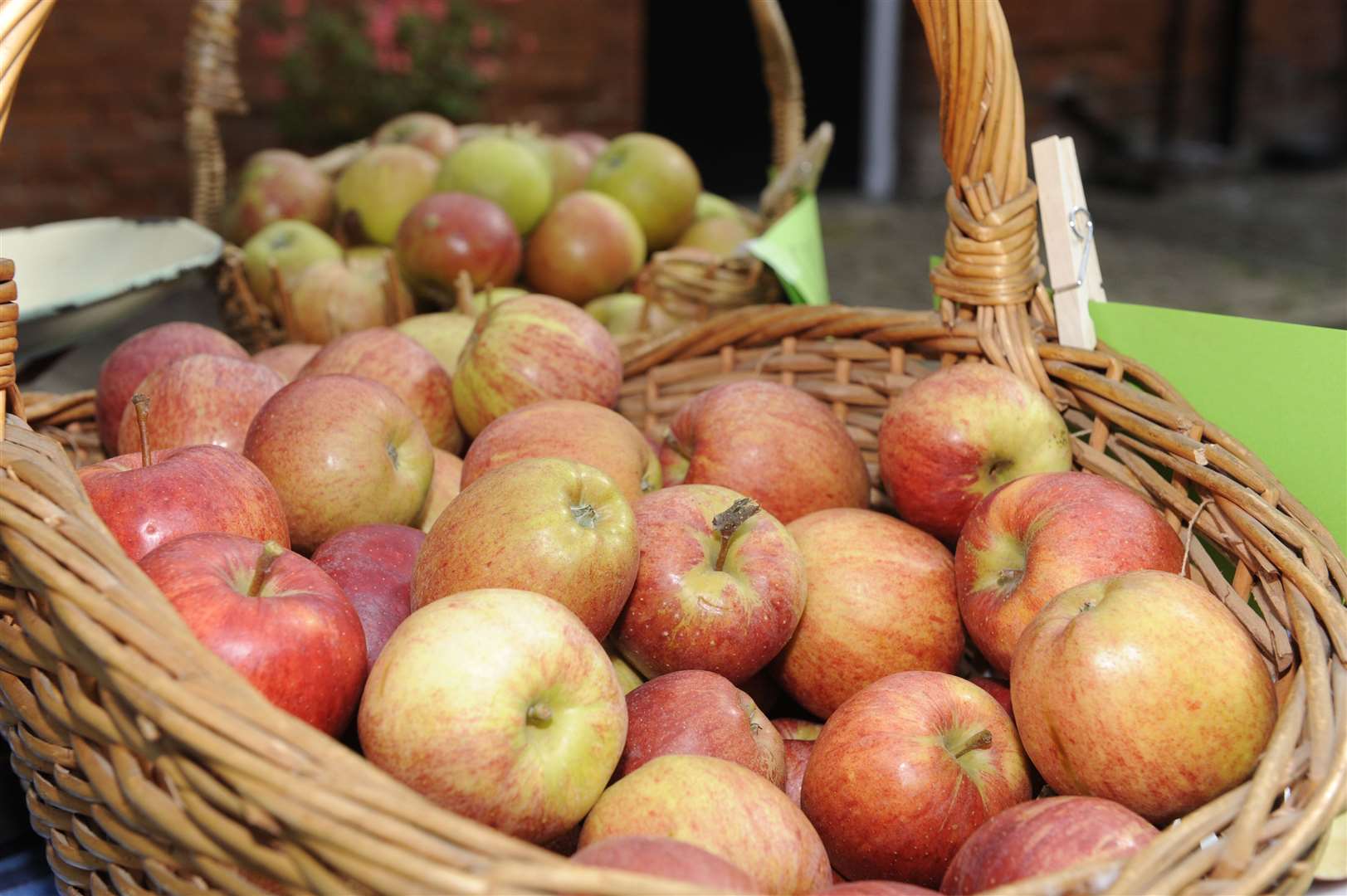 Mount Ephraim Gardens is hosting Apple Sunday this weekend