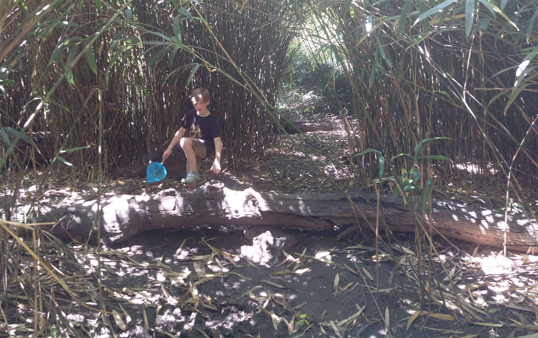 There are lots of places to explore