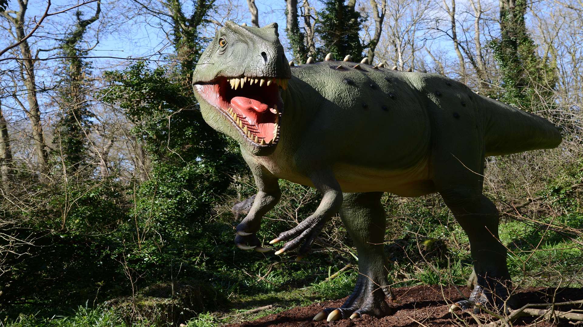 The Dinosaur Forest at Port Lympne Reserve
