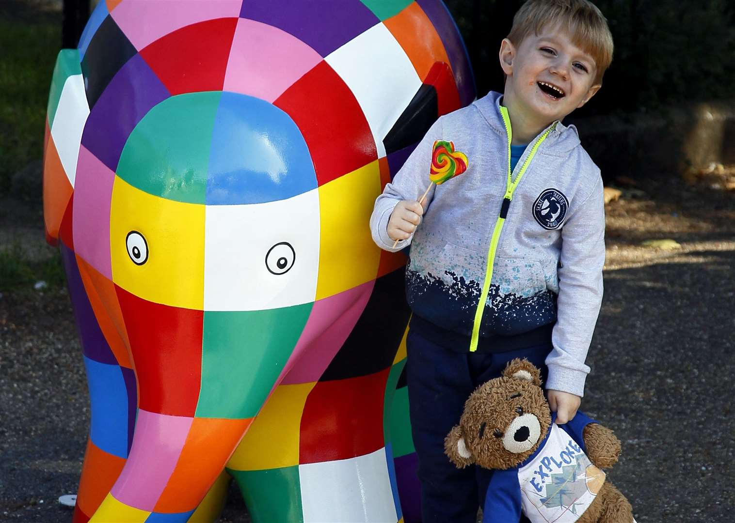 Elmer the Elephant Art Trail will come to Maidstone next year instead