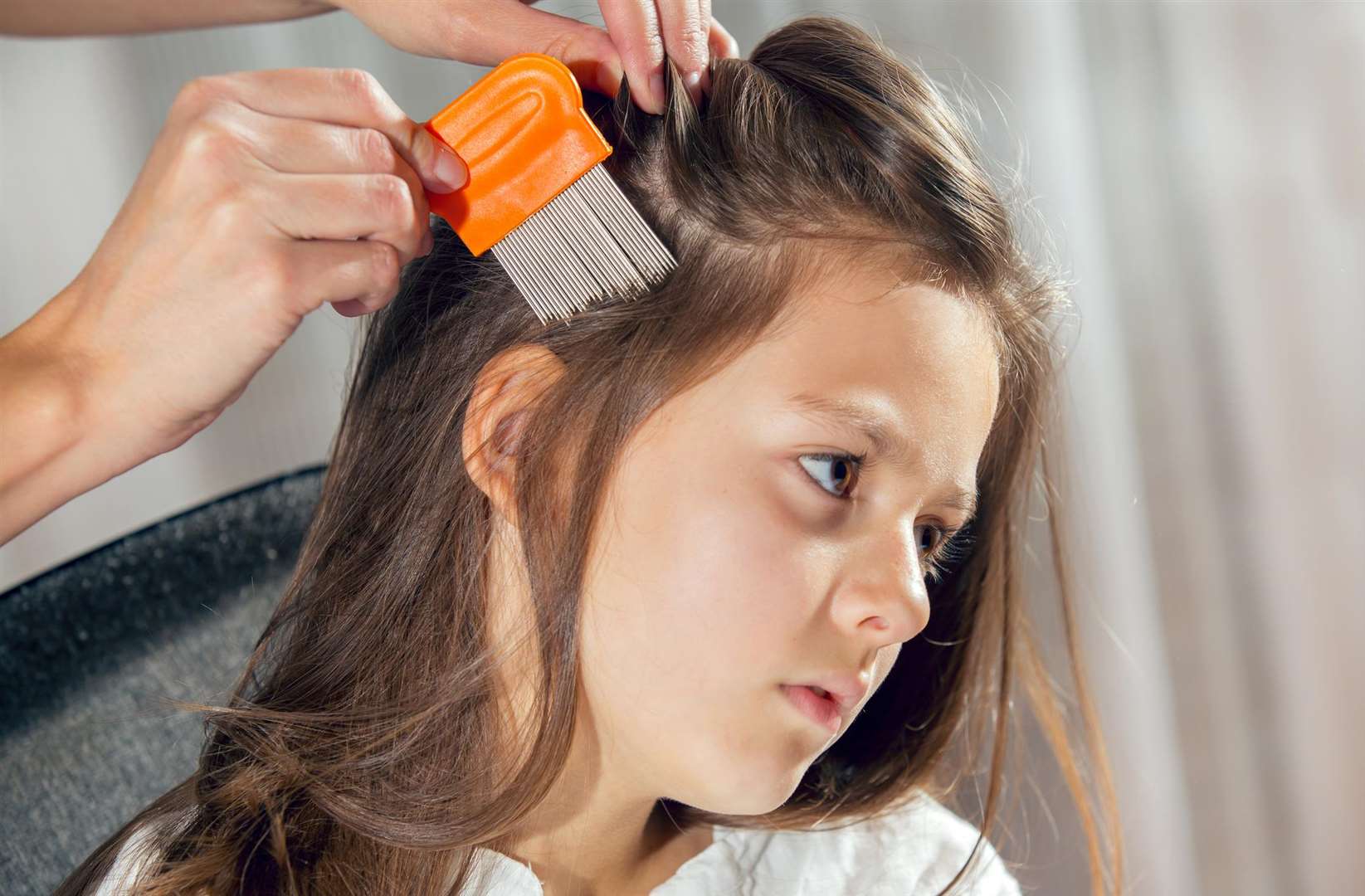 When was the last time you checked for head lice?
