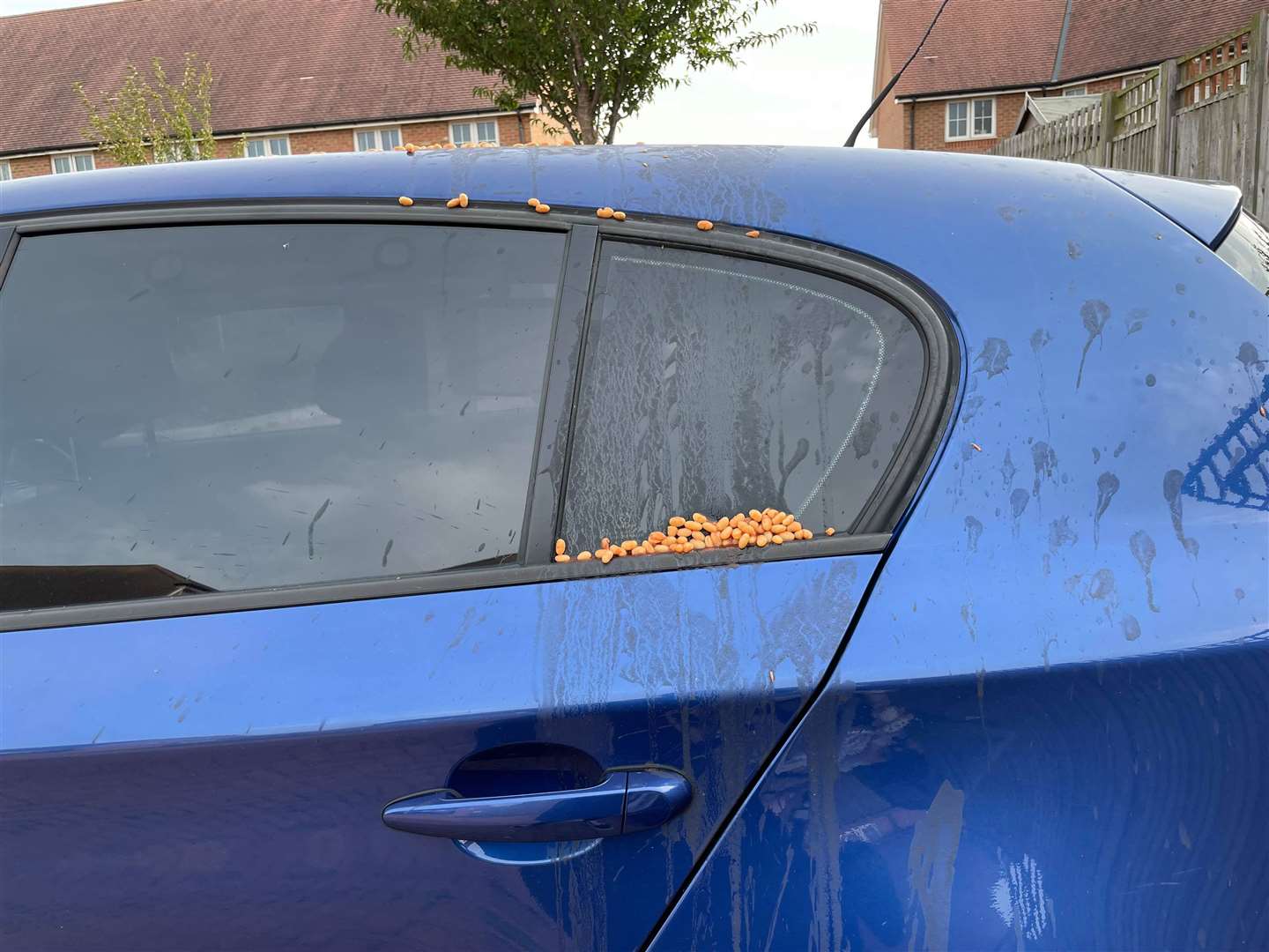 Beans, sausages and eggs were thrown at homes and cars in New Romney, Kent this week. Photo from Sheila Mclachlan.