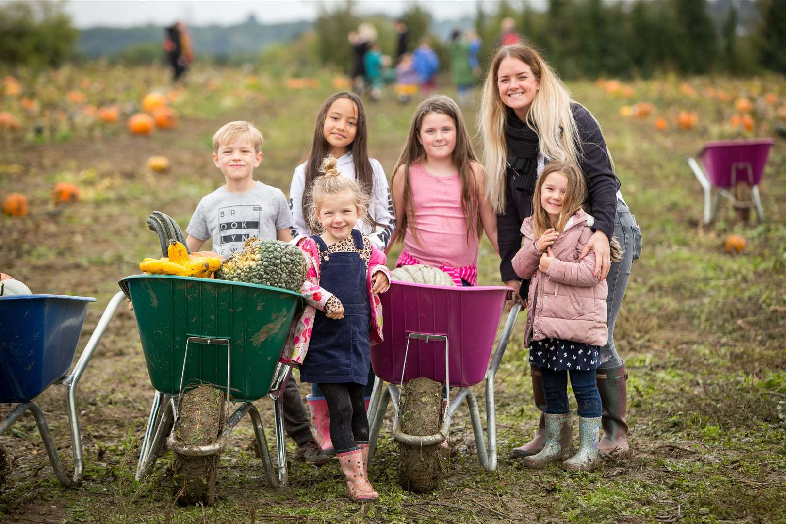 Take the kids to pick a pumpkin this weekend